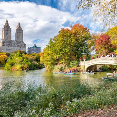 Autumn view of Central Park