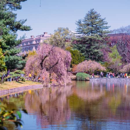 Brooklyn Botanic Garden in Spring