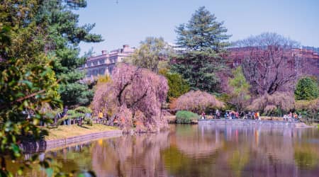 Brooklyn Botanic Garden in Spring