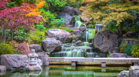 Waterfall at Kyoto Garden in London