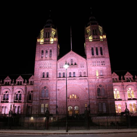 Natural History Museum at Night