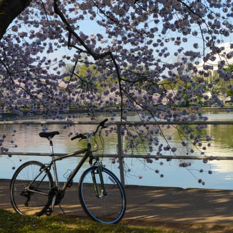 Empty Bicycle in Tourism Area