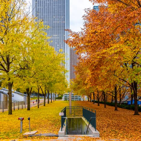 Millenium Park in Fall