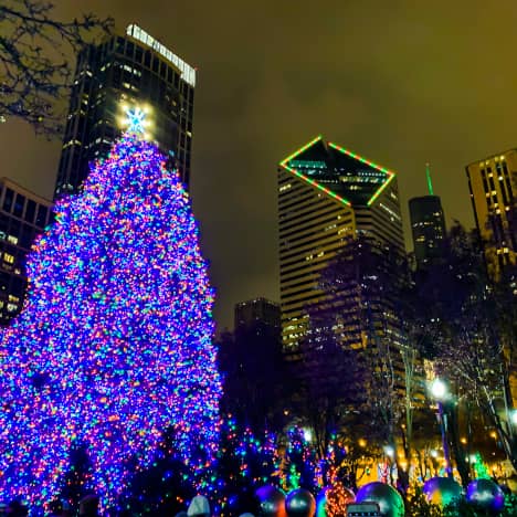 Millenium Park in Winter