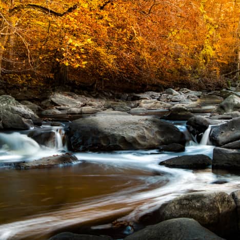 Rock Creek Park