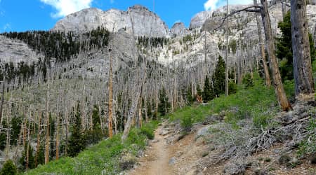 Hiking path on Mt. Charleston