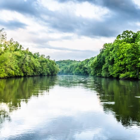 Middle of the Chattahoochee River