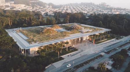 California Academy of Sciences