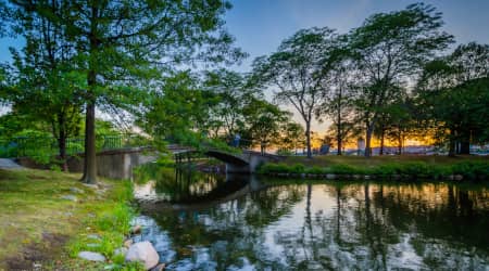 Charles River Esplanade at Sunset