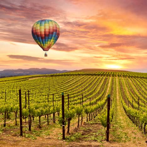 Hot Air Balloon over Napa Valley Vineyards at Sunset