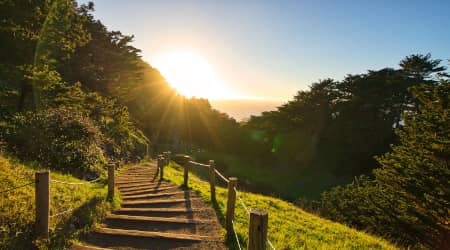 Stairs at Lands End Trail