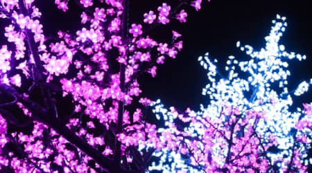 LED Light Trees