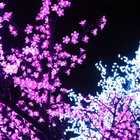 LED Light Trees