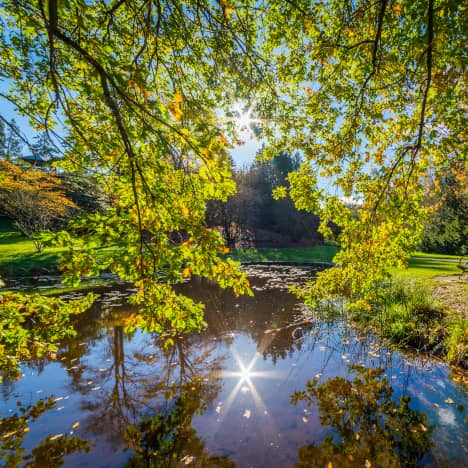 Water in Washington Park Arboretum