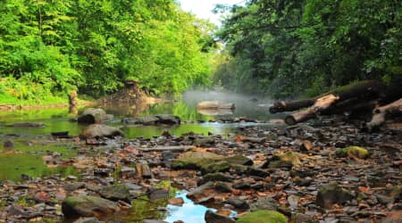 Wissahickon Valley Park