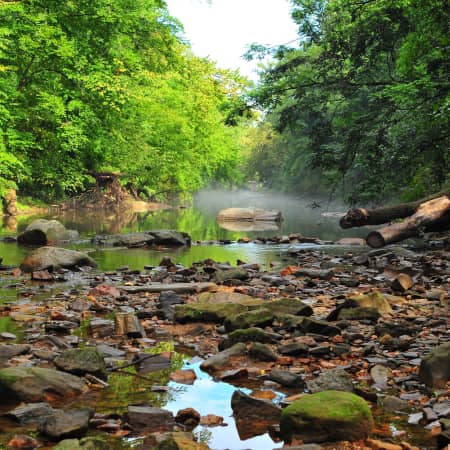 Wissahickon Valley Park