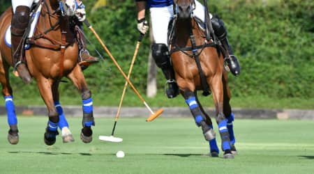 Polo Match