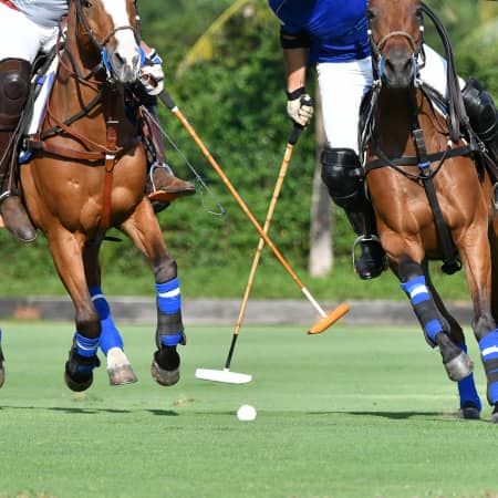 Polo Match
