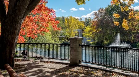 Parc la Fontaine